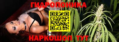 крисы Нягань
