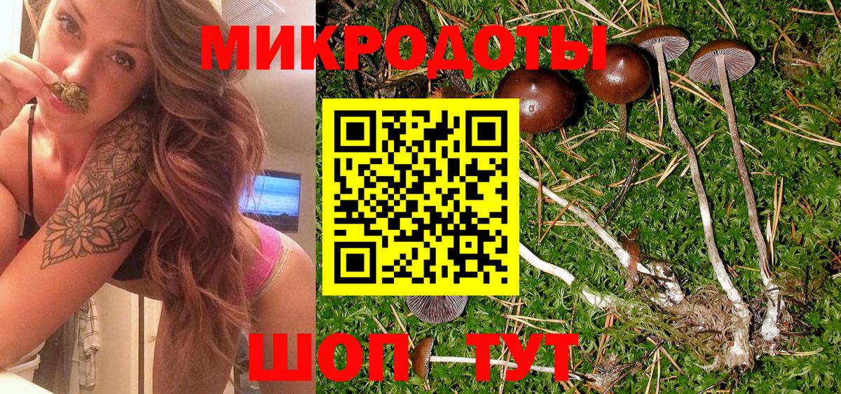 Псилоцибиновые грибы MAGIC MUSHROOMS  Псилоцибиновые грибы Psilocybe  Вход с VPN  Светлоград 